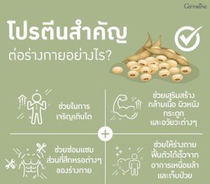 โปรตีนกิฟฟารีน