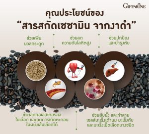 งาดำกิฟฟารีน