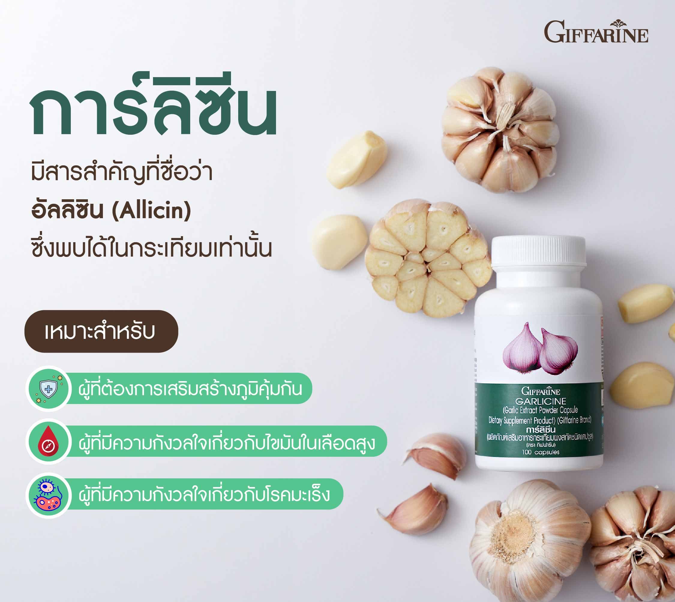 กระเทียมกิฟฟารีน