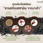 งาดำกิฟฟารีน