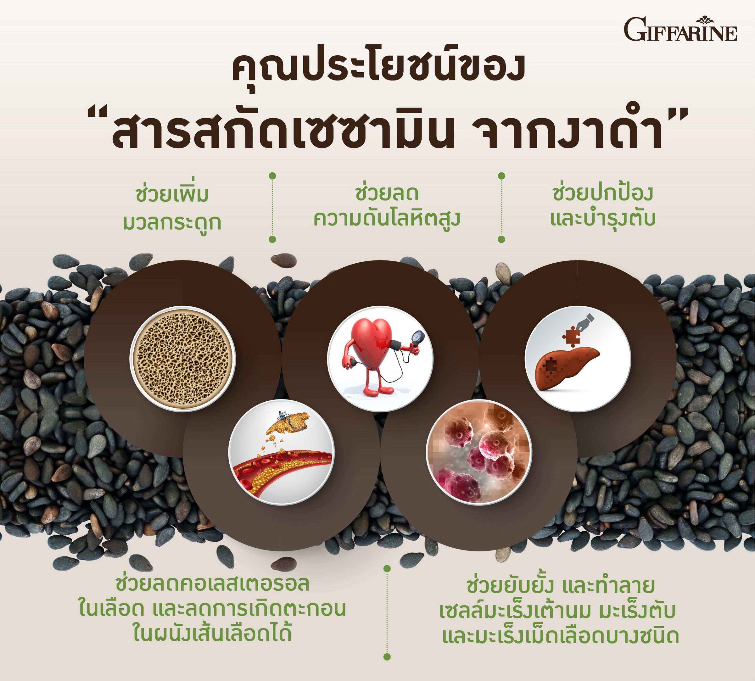 งาดำกิฟฟารีน