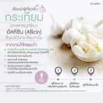 กระเทียมกิฟฟารีน